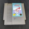 Karate Champ (Nintendo Nes)